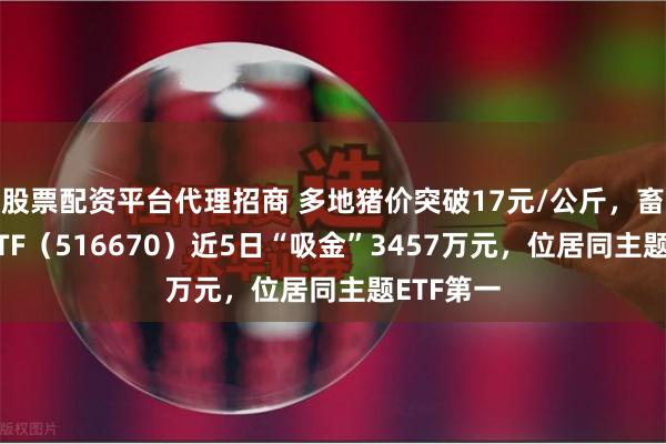 股票配资平台代理招商 多地猪价突破17元/公斤，畜牧养殖ETF（516670）近5日“吸金”3457万元，位居同主题ETF第一