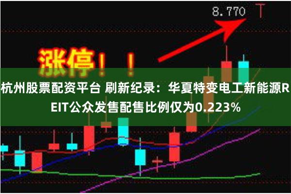 杭州股票配资平台 刷新纪录：华夏特变电工新能源REIT公众发售配售比例仅为0.223%