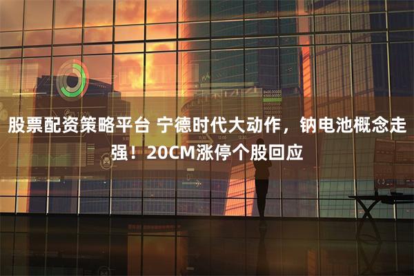 股票配资策略平台 宁德时代大动作，钠电池概念走强！20CM涨停个股回应