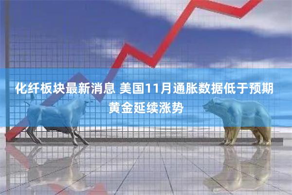化纤板块最新消息 美国11月通胀数据低于预期 黄金延续涨势